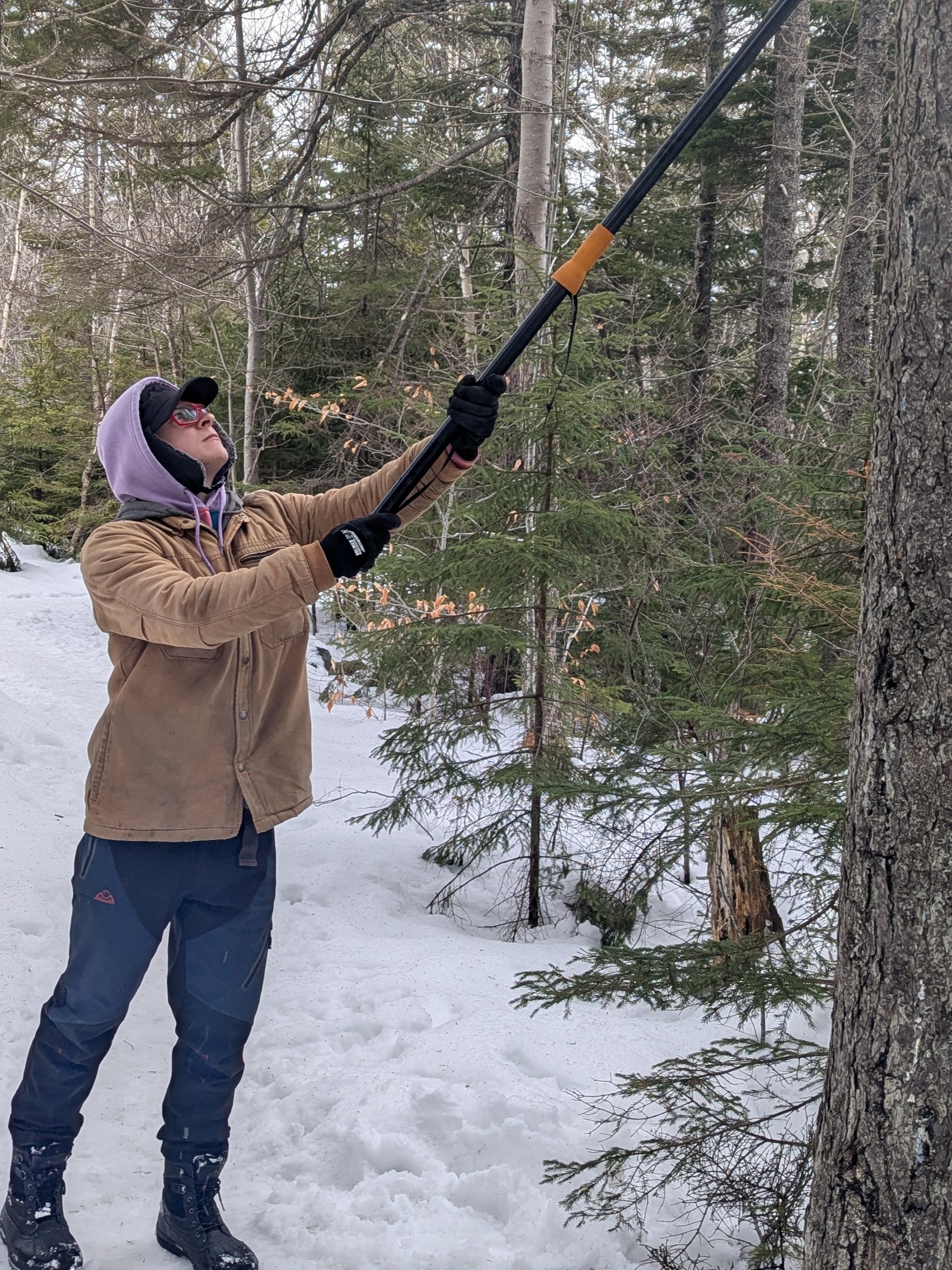 Pathfinder Trail Services crew pruning trees in winter
