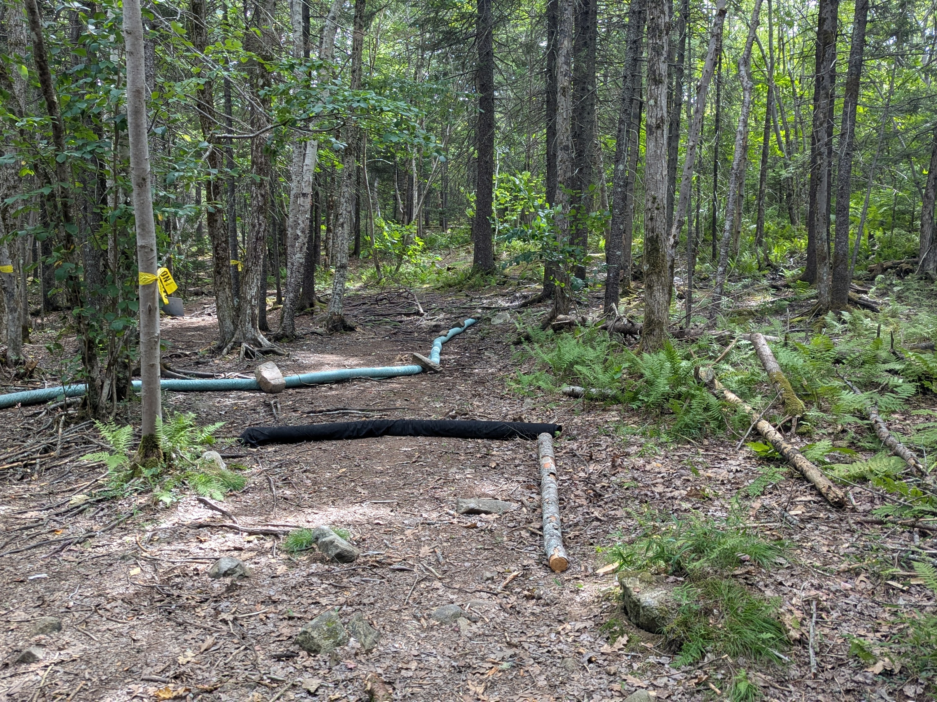 Ridge trail site before construction