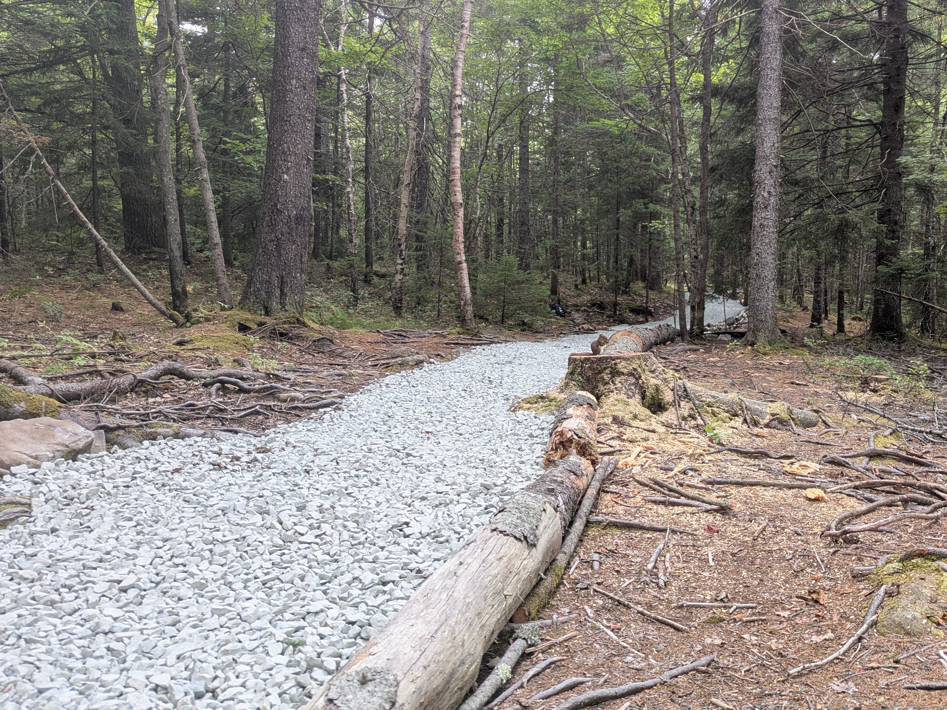 Gravel base being laid on the ridge trail