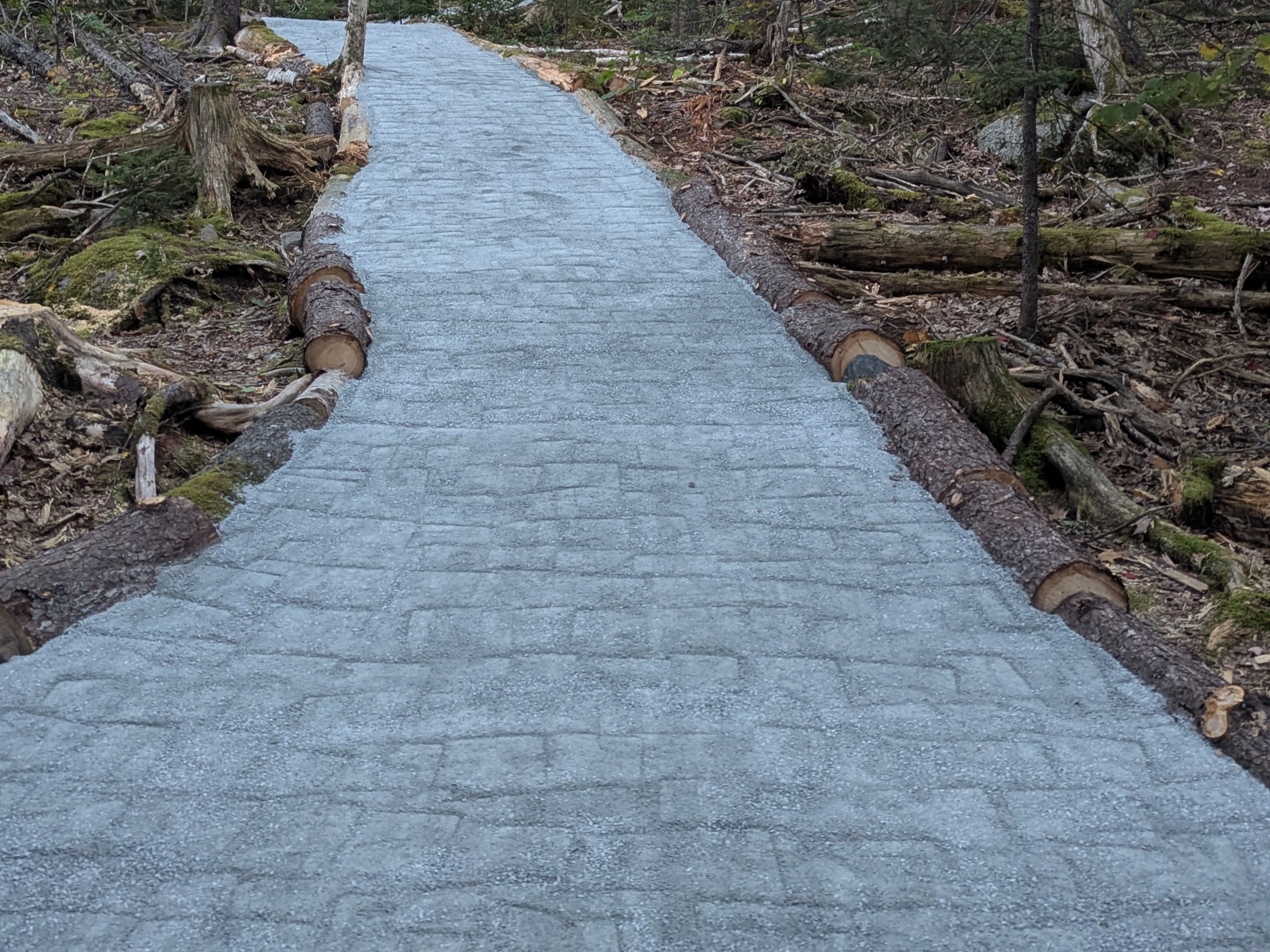 Completed slope trail with log borders and compacted gravel surface